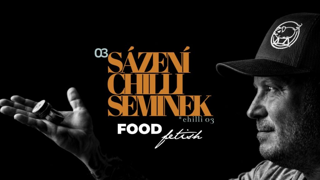 Sázení chilli semínek